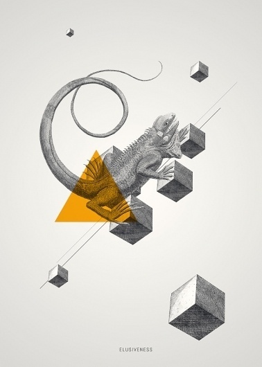 Archetypes on the Behance Network #illustration #iguana