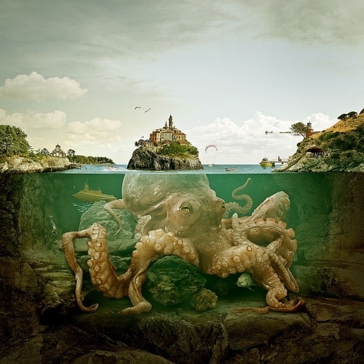 Arrivederci, mostro! | Flickr - Photo Sharing! #de #octopus #photograph #paolino #francesco