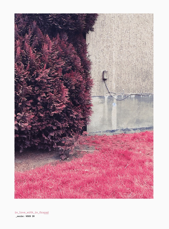in_love_with_in_frared
©
[ catrin mackowski ]