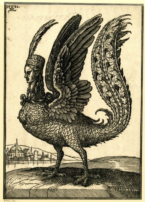 Harpy #woman #bird