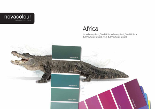Nova Colours Decorative Paints on Behance #campaign #colours #press #paints #nova #decorative