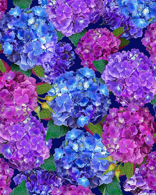 navy blue hydrangea