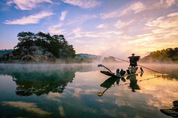 Fisherman with cormorants #fisherman