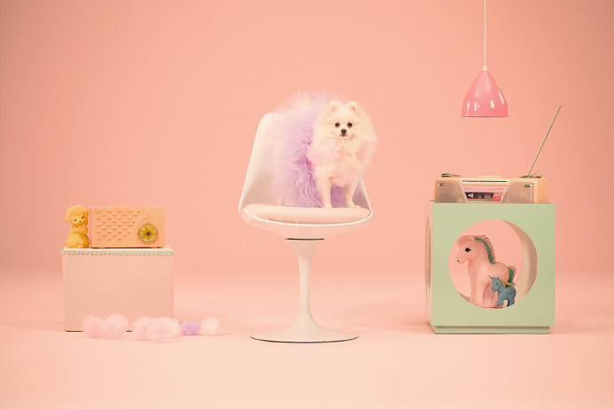 LG Smart Csre - Humans! #stage #dogs #fantasize #pink