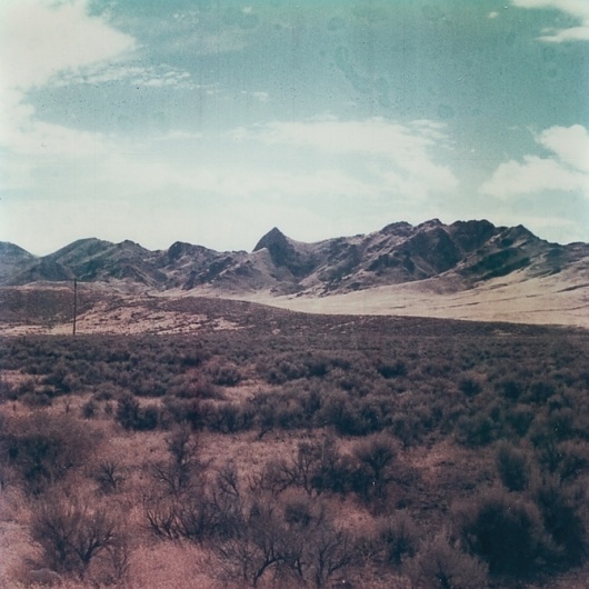 Neil Krug #neil #krug #photography