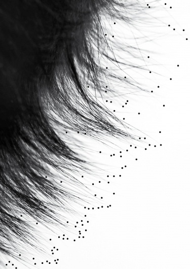 Personal work on the Behance Network #white #design #graphic #black #hair #portrait #and #typography