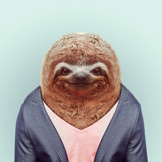 Zoo Portraits by Yago Partal | Inspiration Grid | Design Inspiration #sloth #portrait #funny #animals