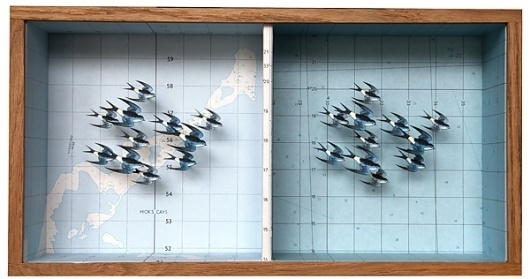 Colossal | An art and design blog. | Page 2 #birds #art