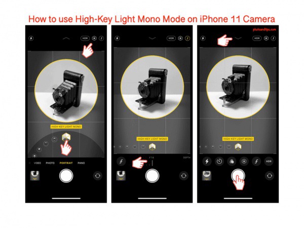 How to use High-Key Light Mono Mode on iPhone 11. @photoandtips #iphone #iphone11 #iphonecamera #iphone11pro #iphone11promax #iphonephotography #iphonecameratravel #iphone11tips #iphonecamera #iphonephototips #iphonephoto #iphone11travel #iphoneimage #photography #photoandtips #smartphonecamera #smartphonephoto #photographytips #traveltips