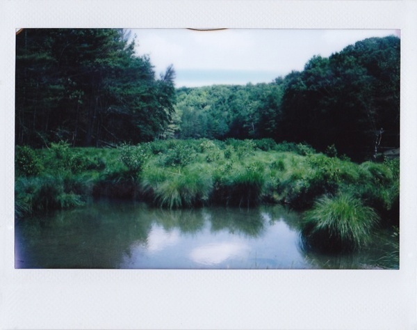 Polaroid Photography by Tyler Sharp #inspiration #photography #polaroid
