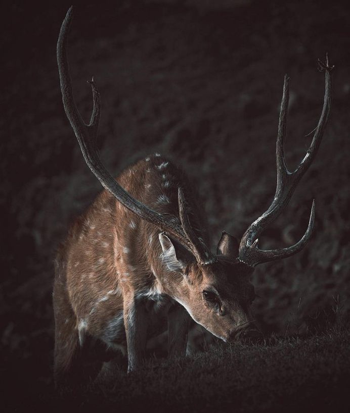 #wildernessculture: Nature and Outdoor Photography by Stian Norum Herlofsen