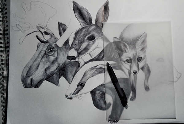 FLOURISH IN OBSCURITY on Behance #deer #fox #realistic #badger #elk #illustration #animals