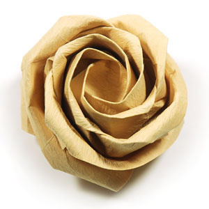 How to make a new Kawasaki rose origami flower (Angled Kawasaki Rose) (http://www.origami-flower.org/howto-origami-rose.php) #origami #rose