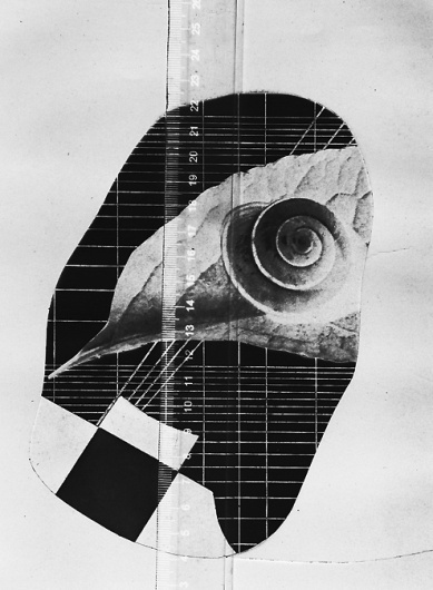 Pablo Delfos - Measurement #leaf #delfos #graphic #pablo #organic