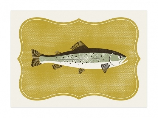 The Design Repository of Brad Surcey #print #screen #illustration #trophy #trout