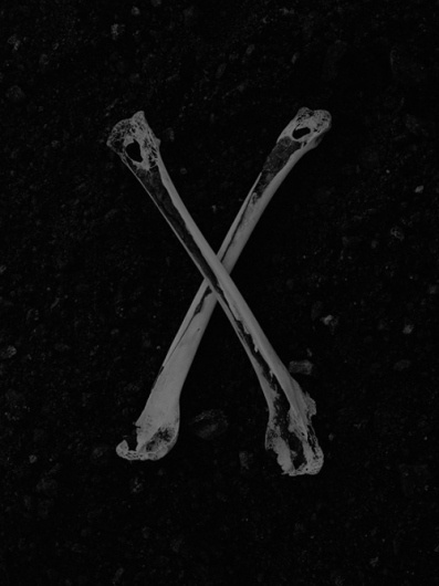 The Strange Attractor #bones #white #black #and