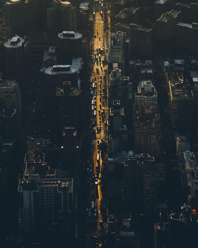 Instagram Star: Dave Krugman