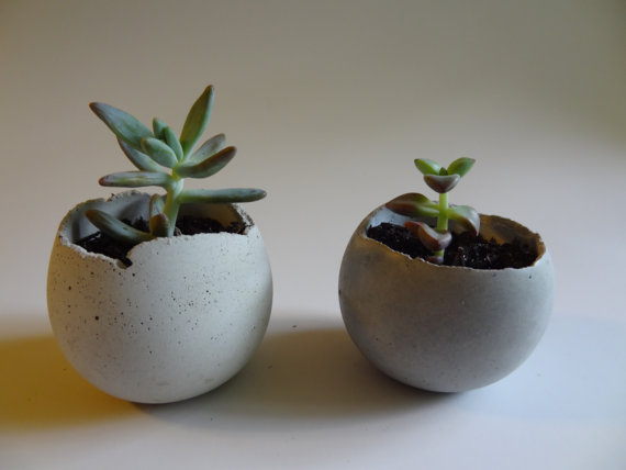 Small Concrete Bowl Planter #concrete #bowl #planter