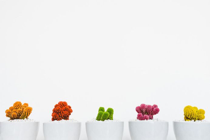 Pink and yellow flower vase photo by NordWood Themes (@nordwood) on Unsplash