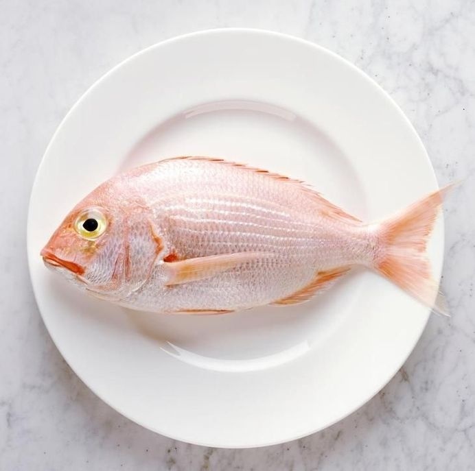 fish #gallery #fish #de #stock #villiers #patrice