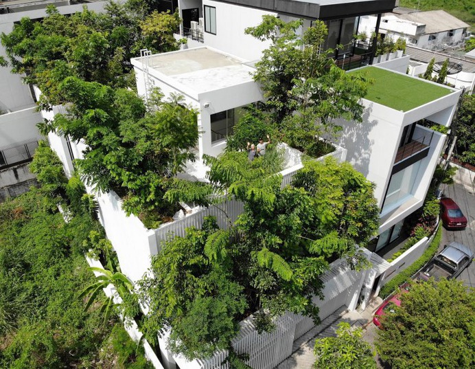 Green roofs of the Forest House in Bangkok