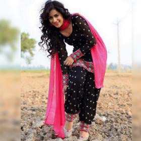 Punjabi Embroidered Salwar Suit