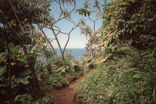 Selected Images Cody Cobb #photography