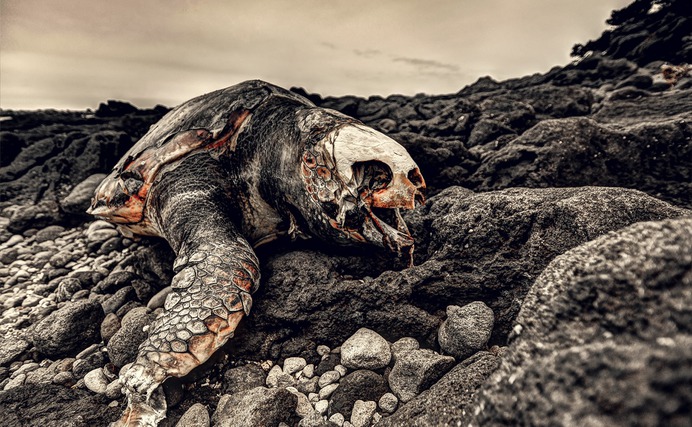 "An Increase of Entropy" by Yuki Iwaoka #Photography #HDR #Wallpaper #Landscape
