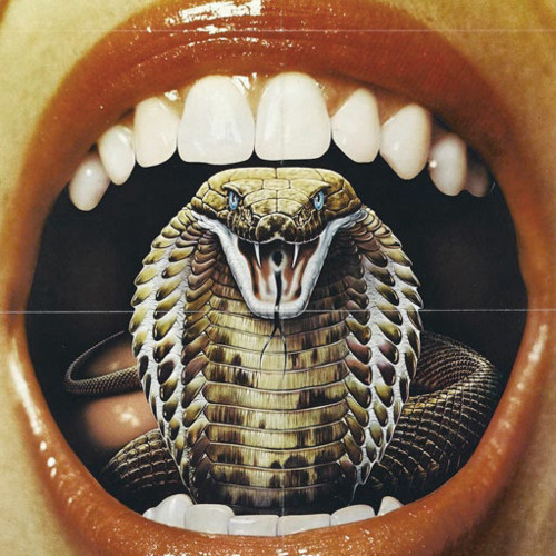 Designersgotoheaven.com @andreirobuSssssss. #style #lips #cobra #anti