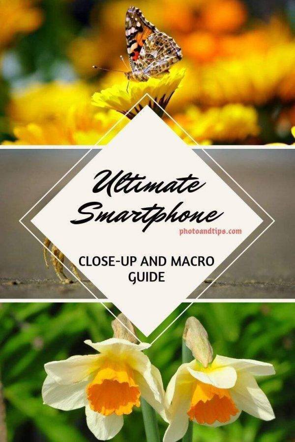If you are interested to learn the best tips and tactics to deal with the Macro and Close-Up shots, this eBook can guide you better. @photoandtips #photoandtips #smartphonecloseup #iphonemacro #smartphonemacro #smartphonetips #iphonetips #mobiletips #smartphonephotography #iphonephotography #smartphonecamera #smartphonephotographytips #iphonephotographytips #smartphonephoto #iphonephoto #photographytips #photography