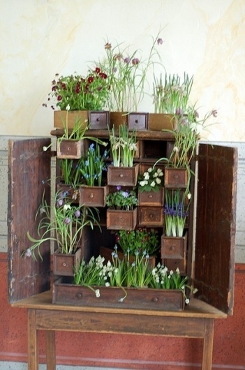 Google Reader (107) #plants #growth #dresser