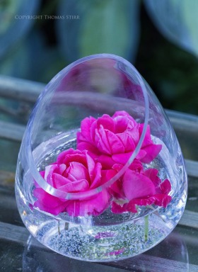 473 Best good morning photos by sonusunariya | HappyShappy