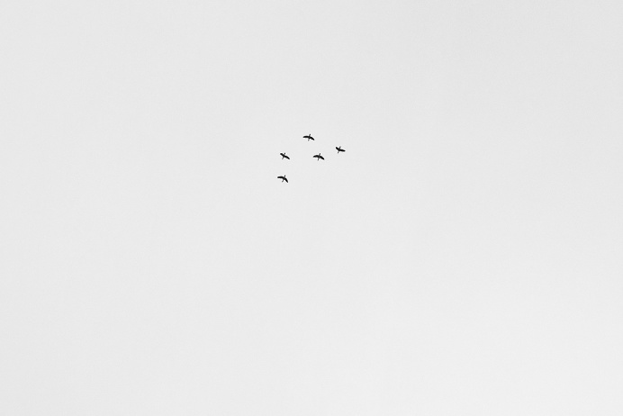 #sky PHOTOGRAPHIE © [ catrin mackowski ]