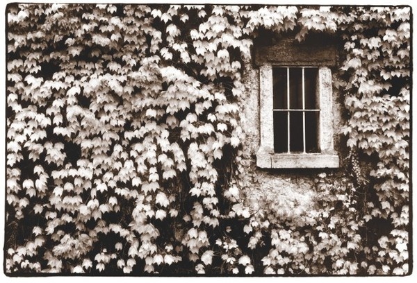 Photography by Mark Boughton #inspiration #photography #art #fine
