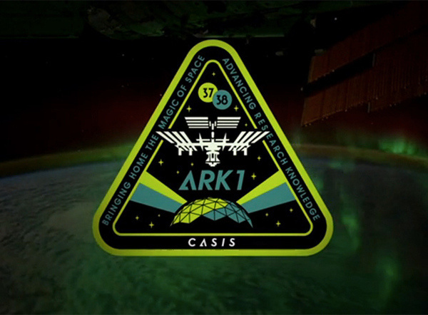 Shepard Fairey designs a mission patch for the ISS ARK1 Boing Boing #fairey