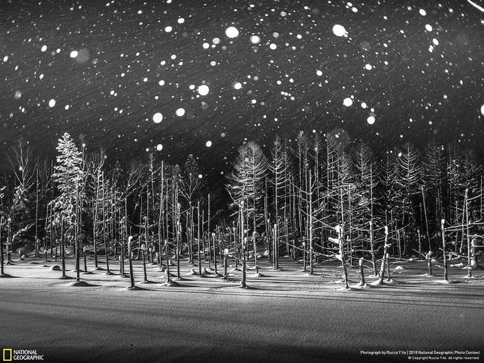 Snowflakes, Rucca Y Ito
