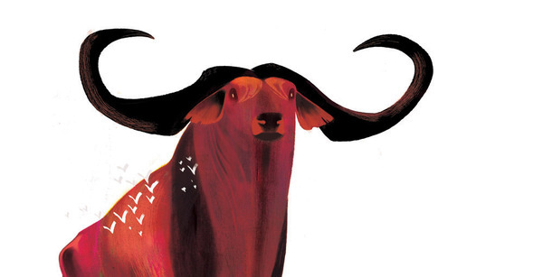 elephant art #illustration #buffalo #texture