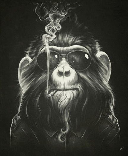 Looks like good Illustrations by Lukas Brezak #glasses #smoke #monkey