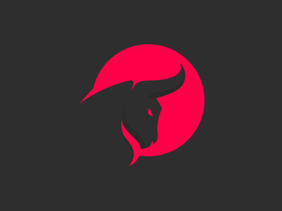 Intenso Fitness by Cajvanean Alexandru #bull
