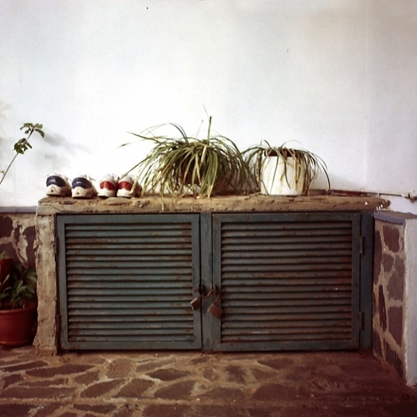 Jardín // Garden | So Hungry Studio #film #analog #photography #studio #tenerife #hungry #so