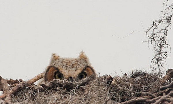 National Geographic Traveler Photo Contest 2014 #inspiration #photography #travel