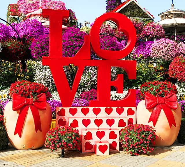 Love Podium or Romantic Podium at the Dubai Miracle Garden. It has two vases around it which grows red-colored petunia flowers. The theme only became part of the Dubai Miracle Garden in its Season 7.