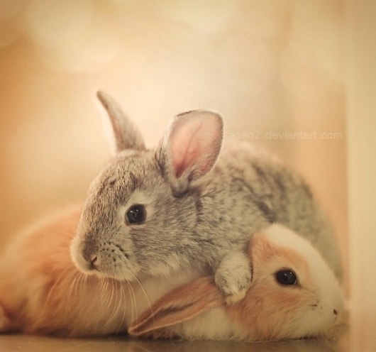 Photography by Essa Al Mazroee » Creative Photography Blog #photography