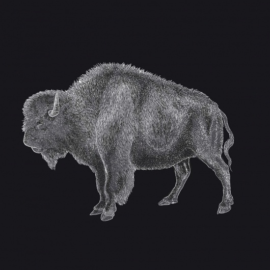 White Buffalo Woman 7″ Record – Limited Variant – (20 copies) | Grimtale Records #album #white #woman #record #illustration #doug #art #granger #buffalo