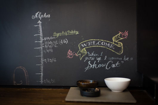 fvf chalkboard #interior #design #decor #deco #decoration