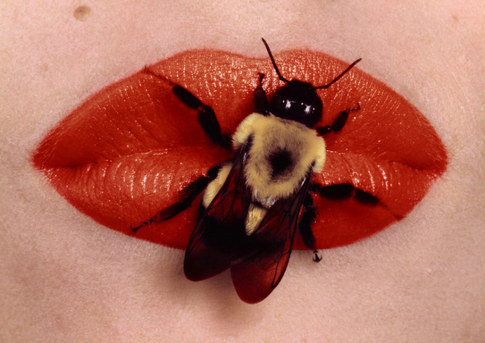 Bee on Lips , New York, 1995 Dye transfer print © Condé Nast
