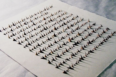 Thorns – Cui Fei #fei #cui #art