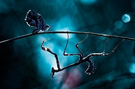 Friday Photography Inspiration #43