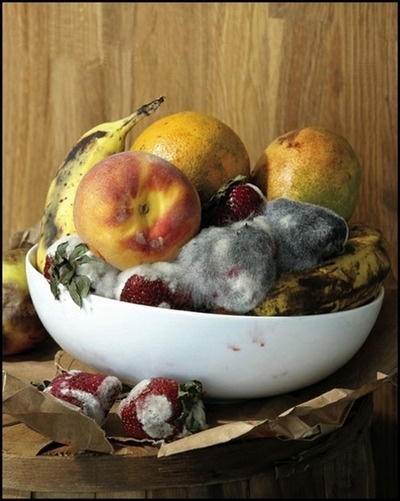 Bonne Chance - Still Life by Roe Ethridge for Vice's Photo... #morte #fruits #art #nature