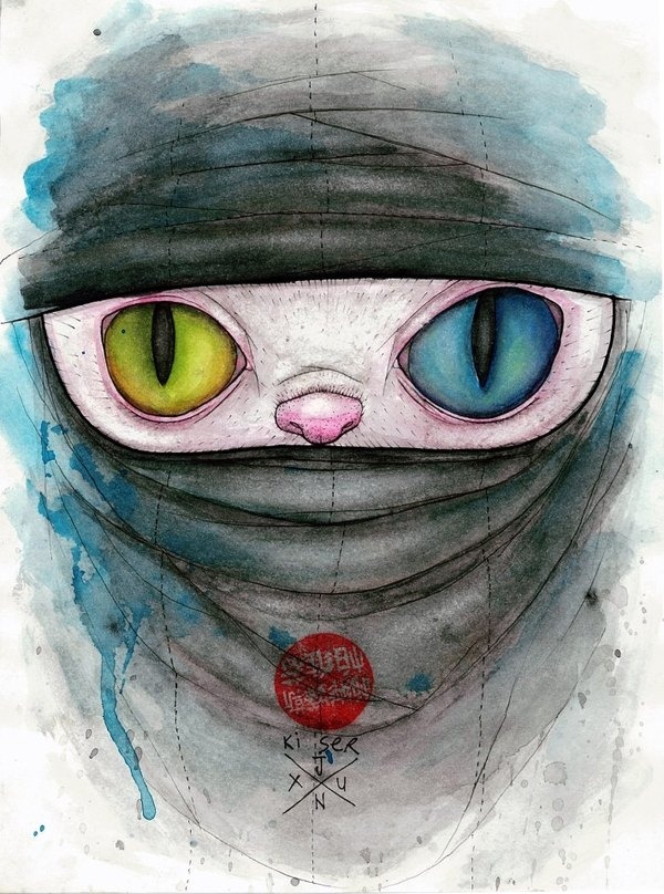 Ninja Cat #ninja #color #cat #painting